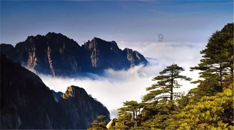少儿图书馆该如何建设？来这场座谈会上找答案